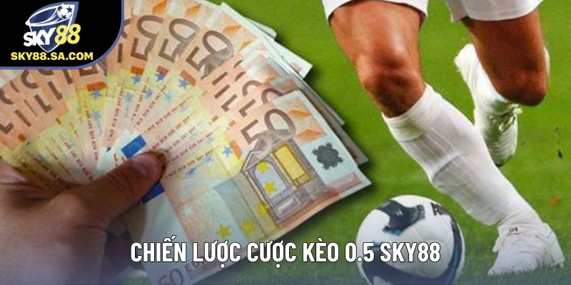 Chiến lược cược kèo 0.5 Sky88 Chiến lược cược kèo 0.5 Sky88